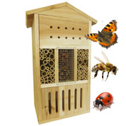 Caja de Insectos - Multi-Insectos - Caillard